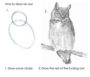 Draw Owl